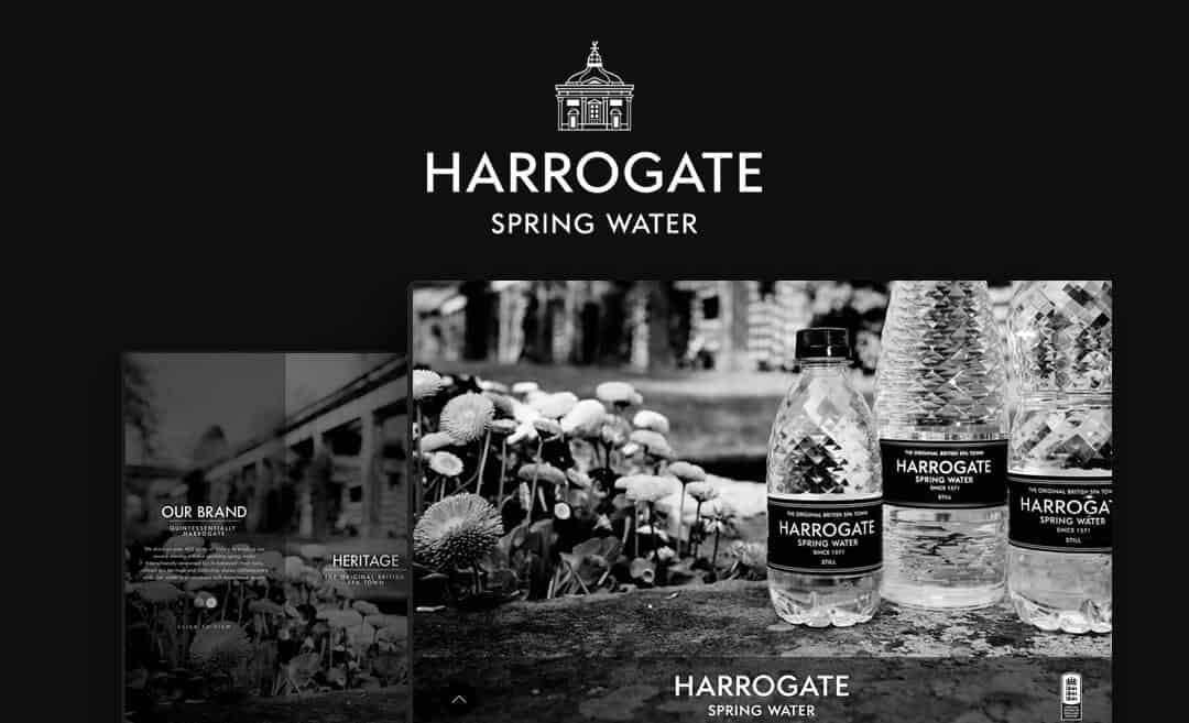 Harrogate Spring Water Web Design